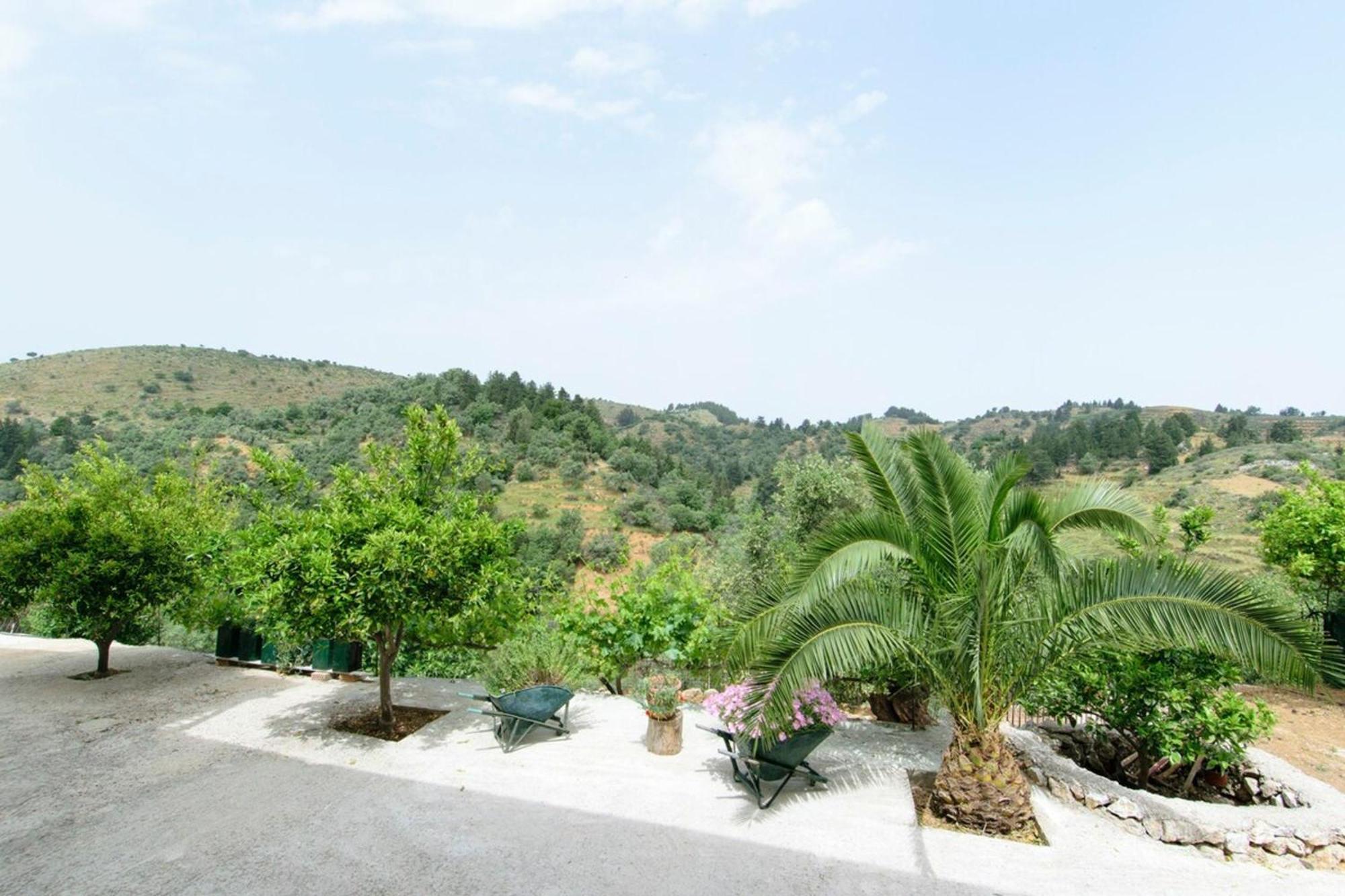 Aoria Traditional House With Stuning Mountain View Loulos エクステリア 写真